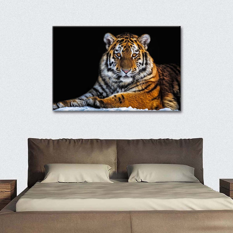 Tiger Snapshot Wall Art