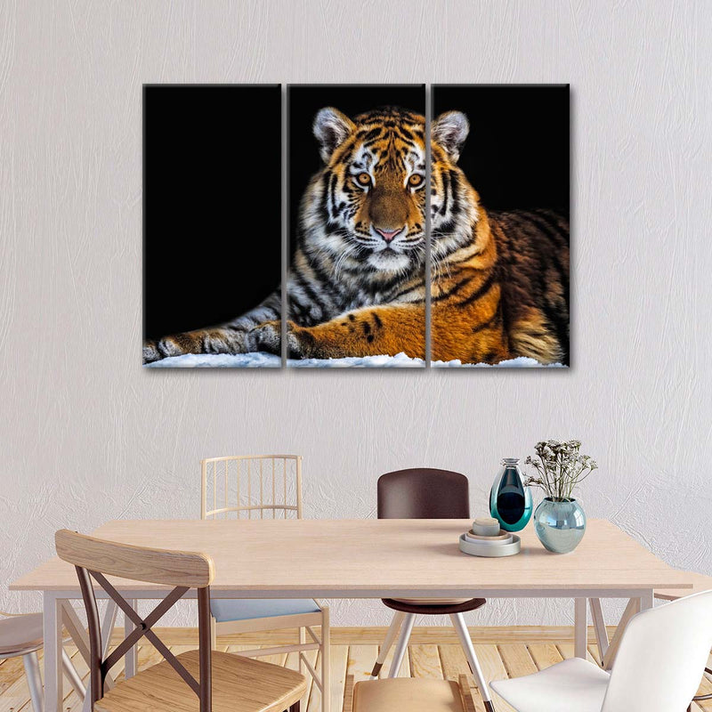 Tiger Snapshot Wall Art