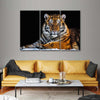 Tiger Snapshot Wall Art