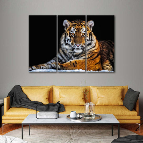 Tiger Snapshot Wall Art