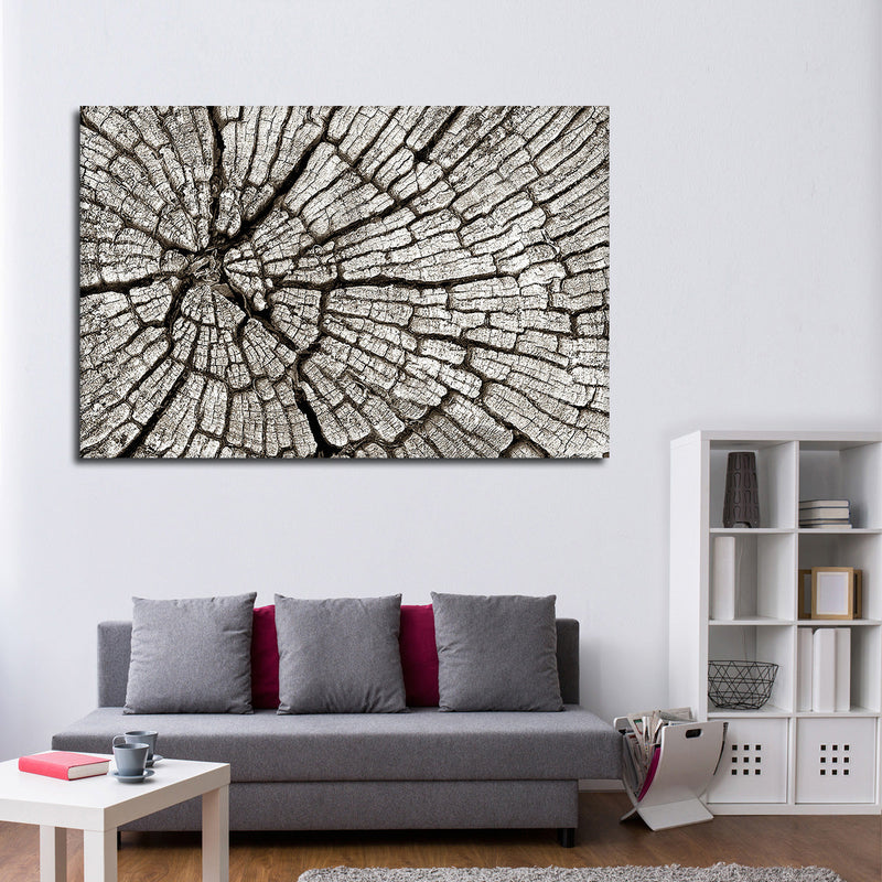 Tree Stump Wall Art