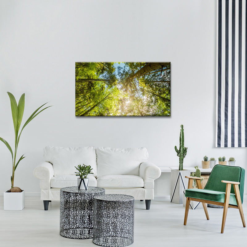Tree Top Wall Art