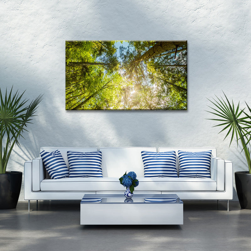 Tree Top Wall Art