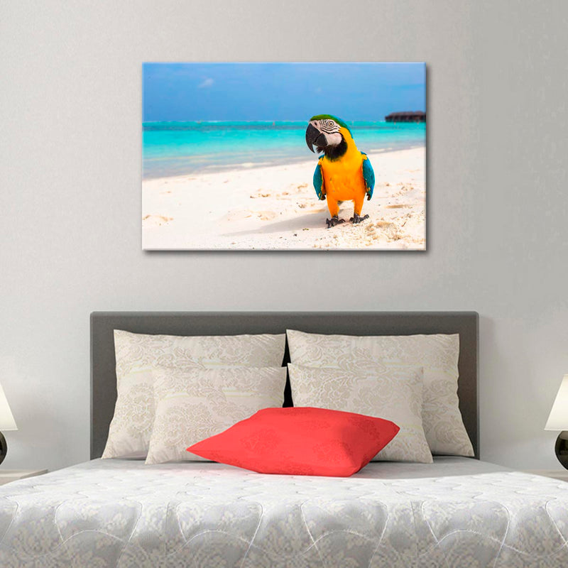 Parrot On Summer Day Wall Art