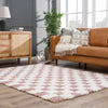 Atira Pink Checkered Area Rug
