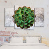 Grunge Succulent Wall Art