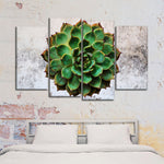 Grunge Succulent Wall Art