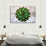 Grunge Succulent Wall Art