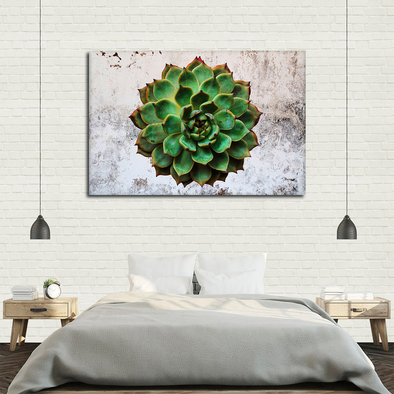 Grunge Succulent Wall Art