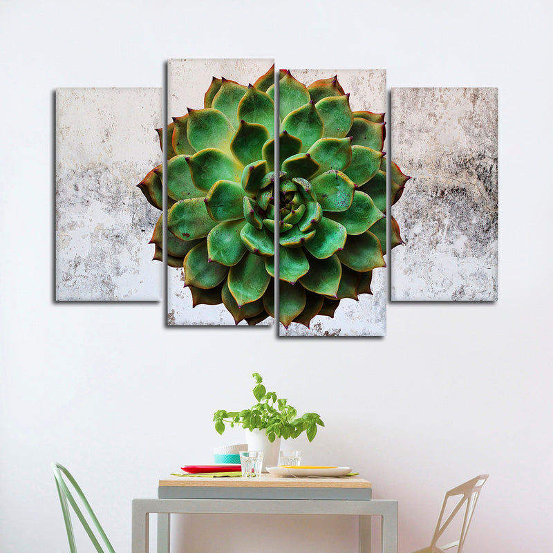 Grunge Succulent Wall Art