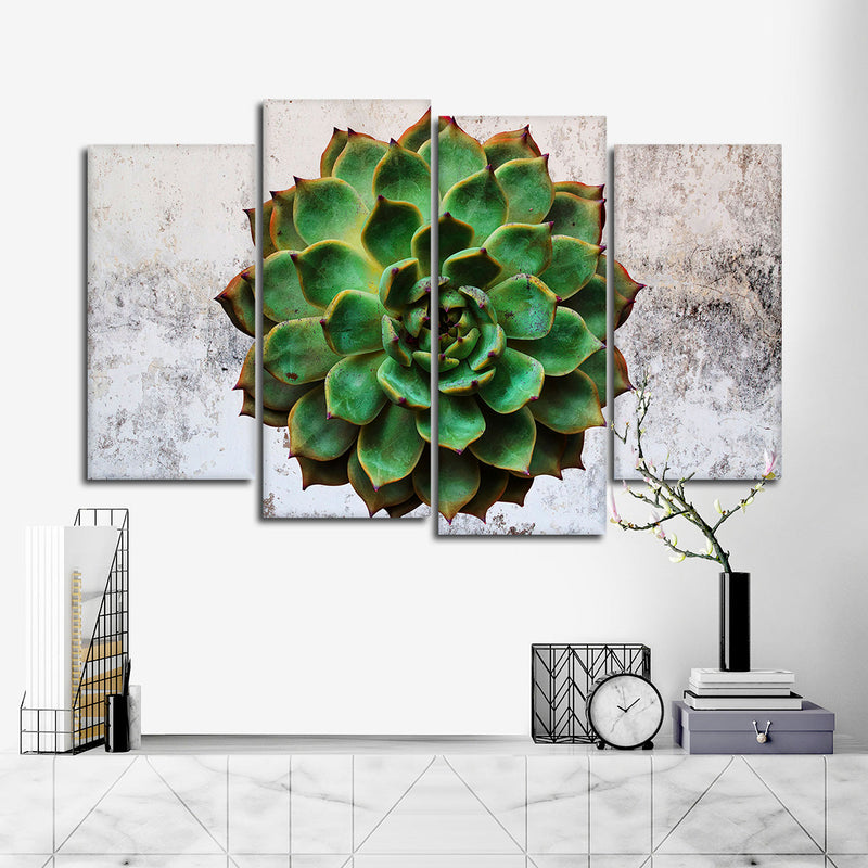 Grunge Succulent Wall Art