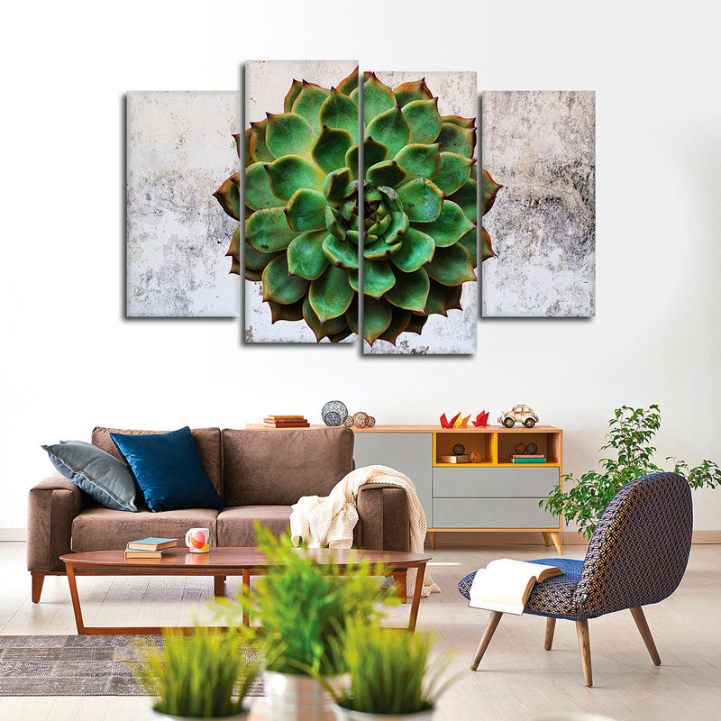 Grunge Succulent Wall Art