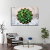 Grunge Succulent Wall Art
