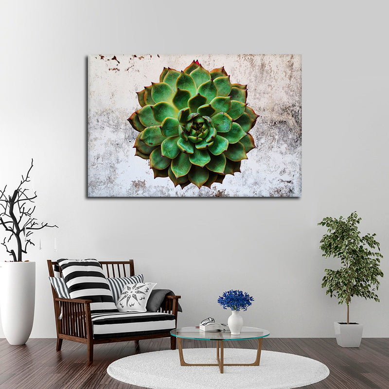 Grunge Succulent Wall Art