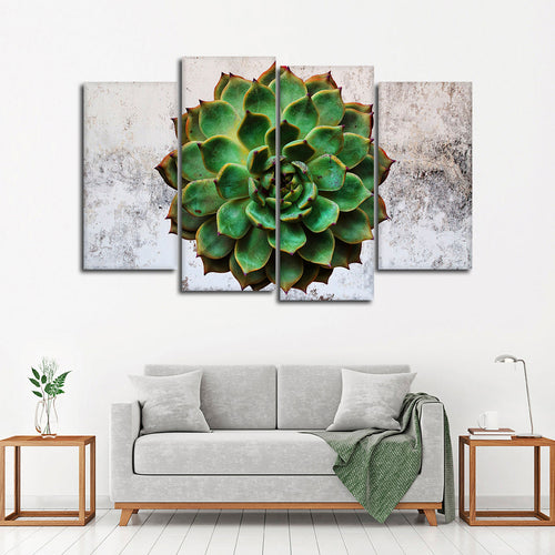 Grunge Succulent Wall Art