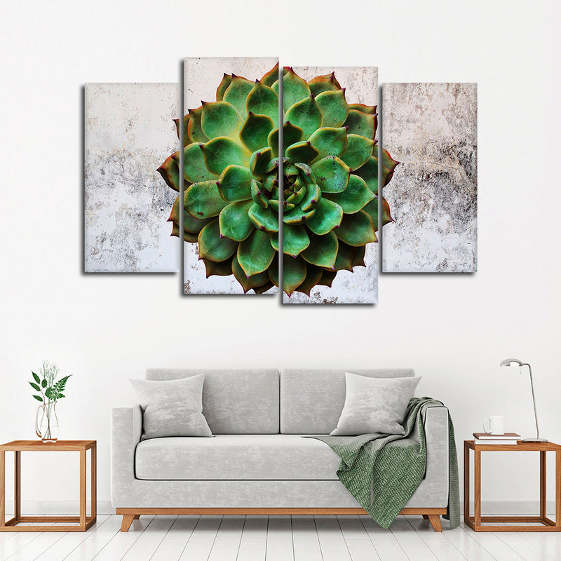 Grunge Succulent Wall Art