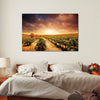 Vineyards Wall Art