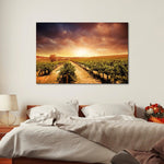 Vineyards Wall Art