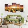 Vineyards Wall Art