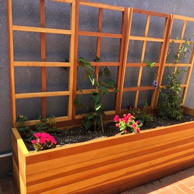 San Laura's Redwood Planter Box with Trellis