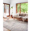 Wynter Silver / Charcoal Rug