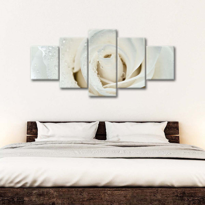 White Rose Close Up Wall Art