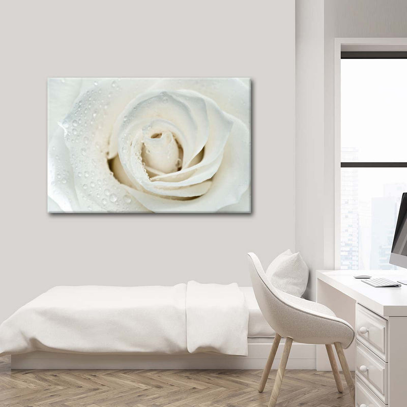 White Rose Close Up Wall Art