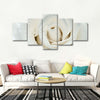 White Rose Close Up Wall Art