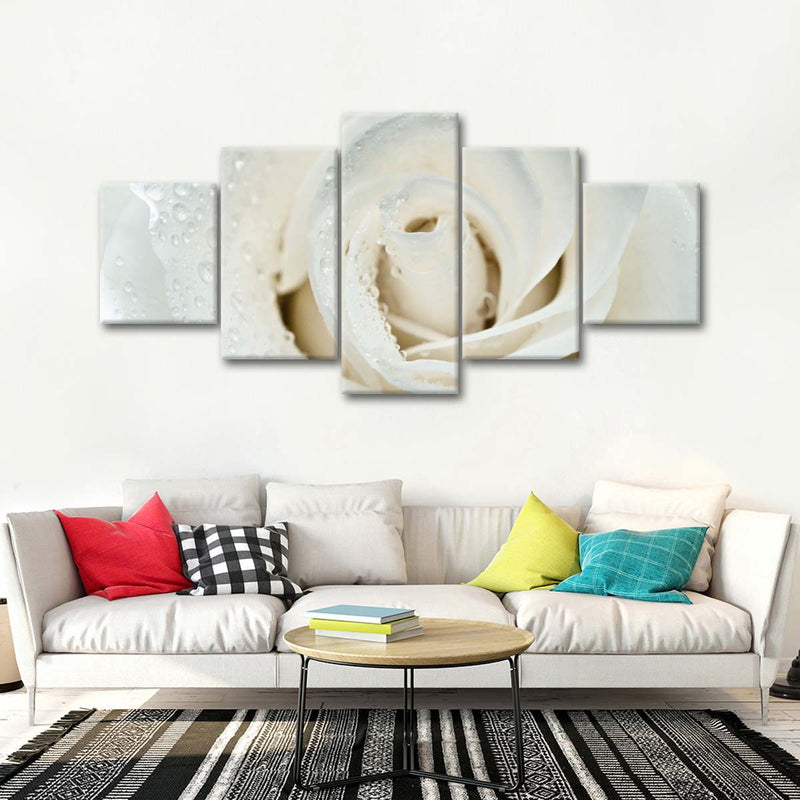 White Rose Close Up Wall Art
