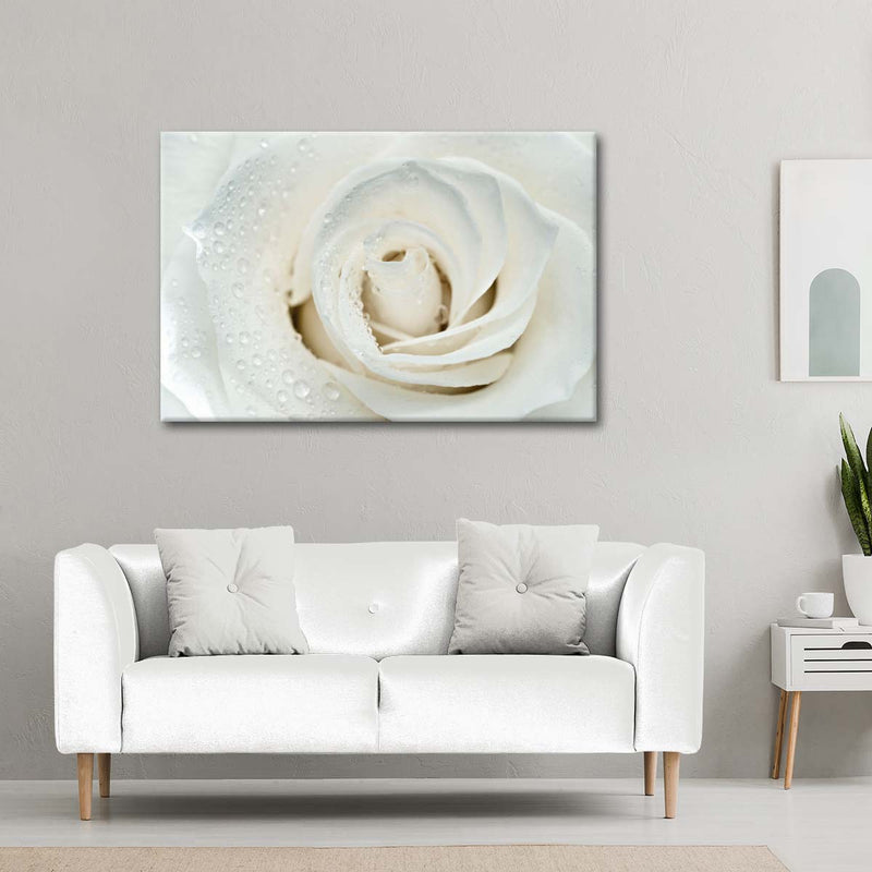 White Rose Close Up Wall Art