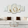 White Rose Close Up Wall Art