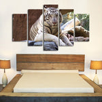 Resting White Tiger Wall Art