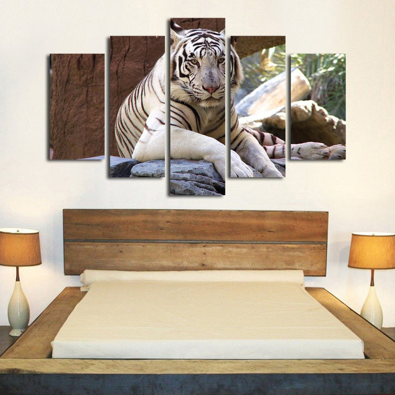 Resting White Tiger Wall Art