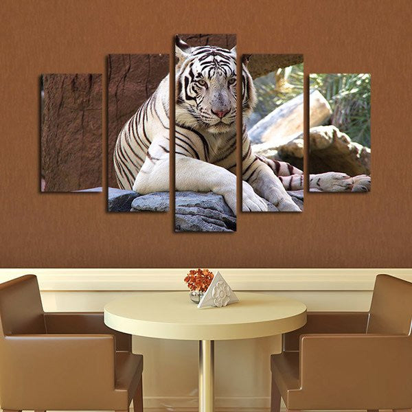Resting White Tiger Wall Art