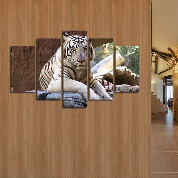 Resting White Tiger Wall Art