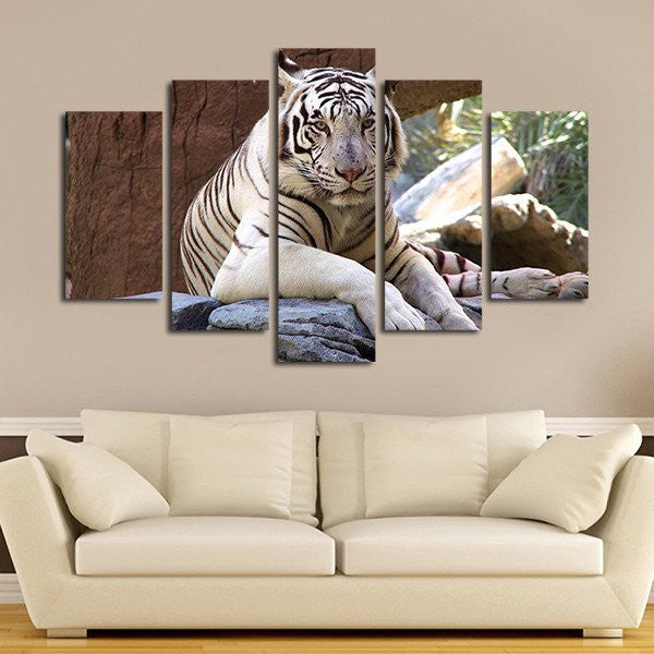Resting White Tiger Wall Art