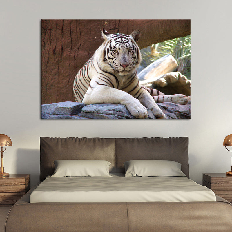 Resting White Tiger Wall Art