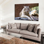 Resting White Tiger Wall Art