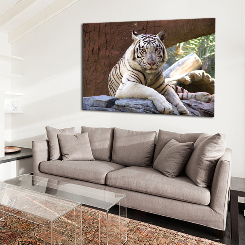 Resting White Tiger Wall Art