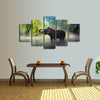 Wild Elephant Wall Art