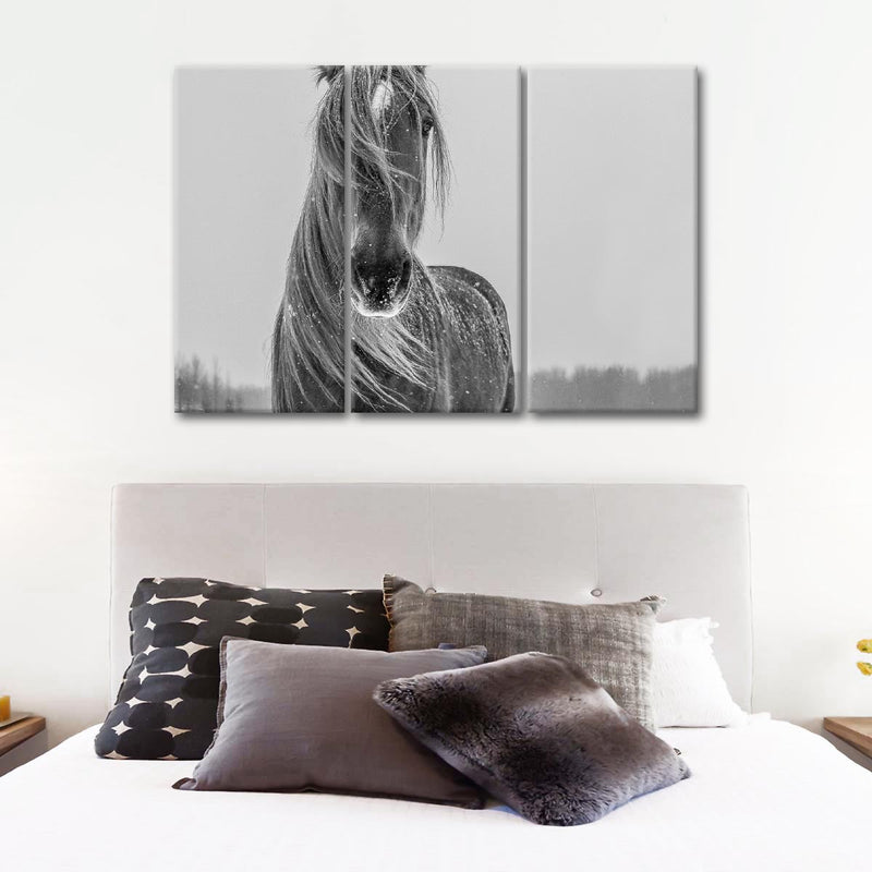 Winter Horse Wall Art