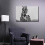Winter Horse Wall Art