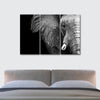 Wise Elephant Wall Art