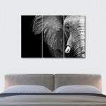 Wise Elephant Wall Art