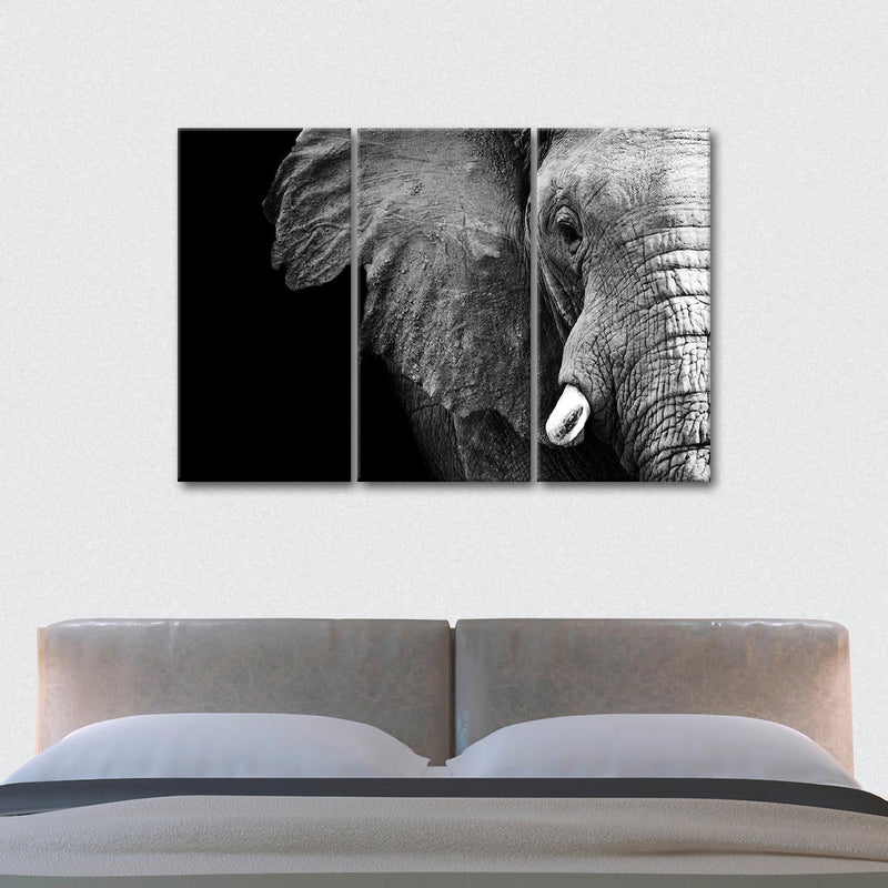 Wise Elephant Wall Art
