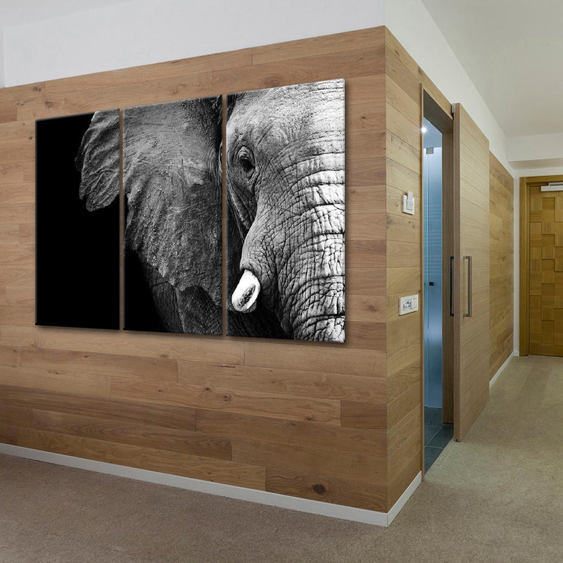Wise Elephant Wall Art