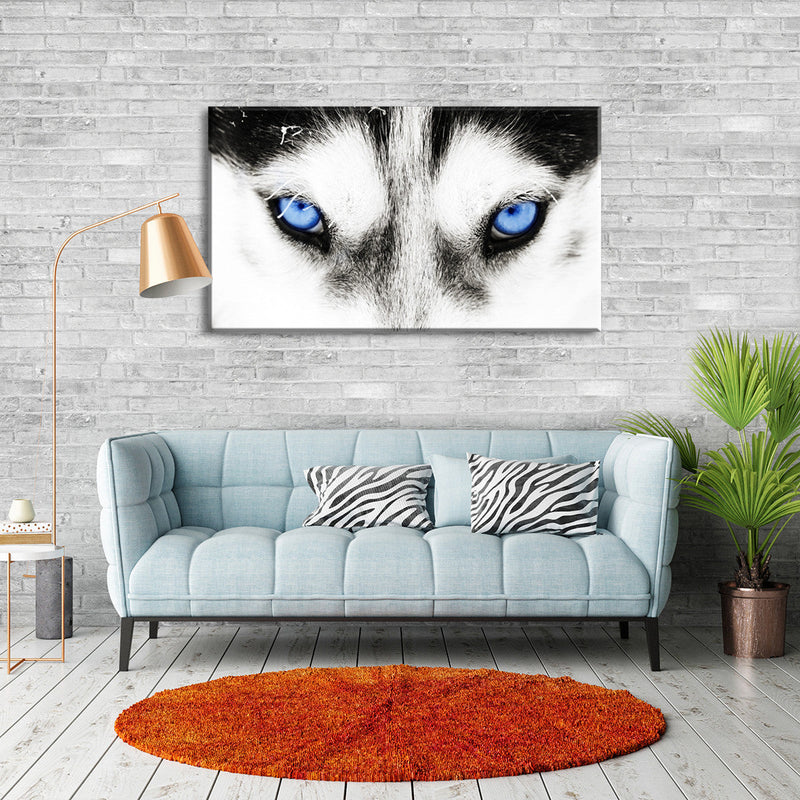 Husky's Eyes Wall Art