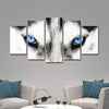 Husky's Eyes Wall Art