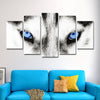 Husky's Eyes Wall Art