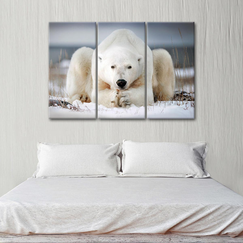 Yoga Polar Bear Wall Art